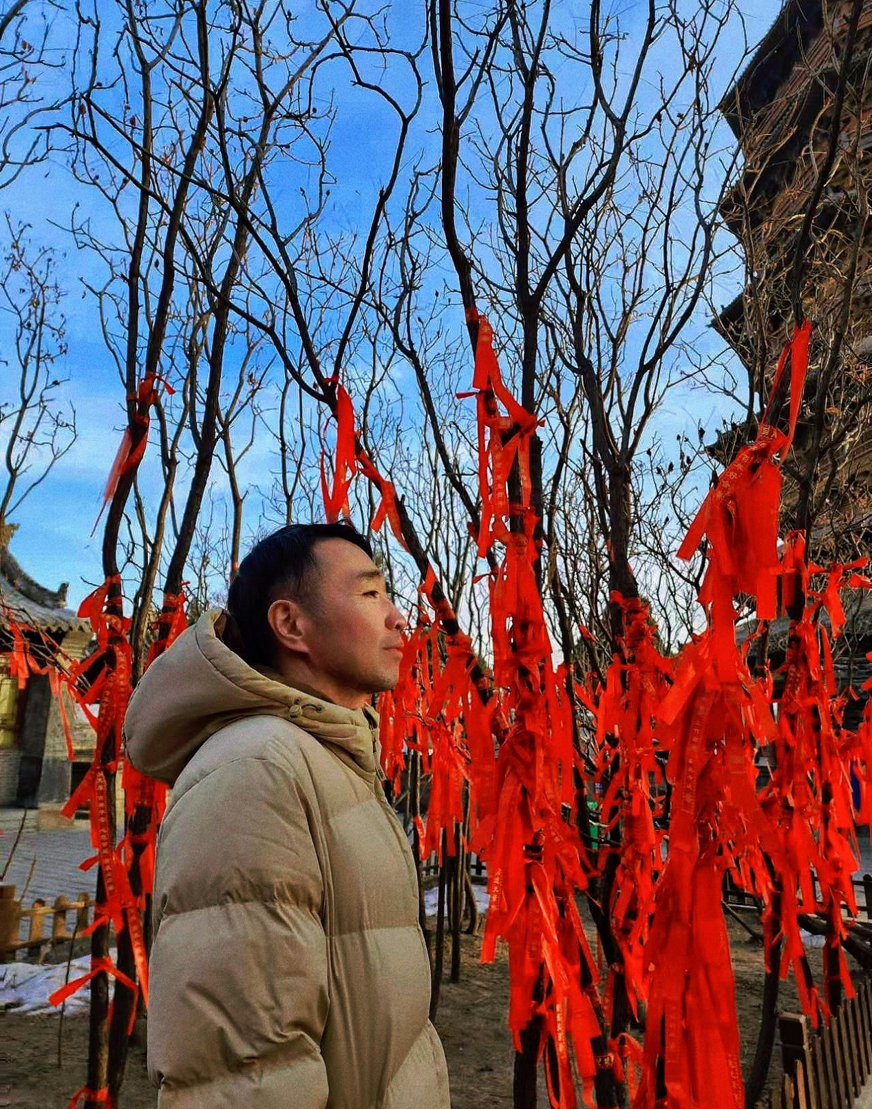 杨一
